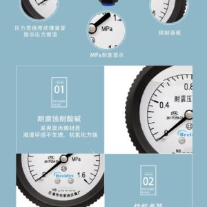 Diaphragm Pressure Gauge 60mm - YPP60