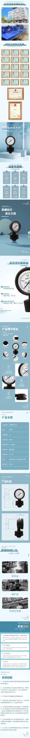 Diaphragm Pressure Gauge 60mm - YPP60