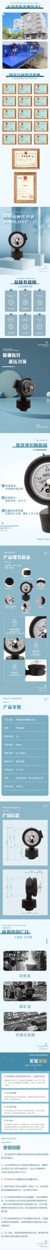 Diaphragm Pressure Gauge 60mm Extended Capillary - YPP60XC