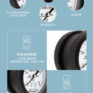 Diaphragm Pressure Gauge 60mm Sanitary - YPPS60