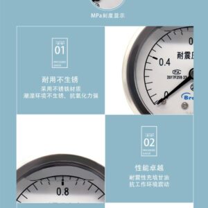 Vibration-Resistant Pressure Gauge 60mm Axial Integral - YN60Z-I