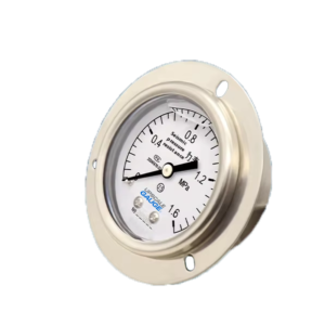 Vibration-Resistant Pressure Gauge 40mm Axial with Flange - YN40ZT