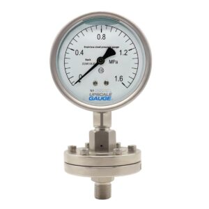 Threaded Diaphragm Pressure Gauge 100mm - YTP100ML