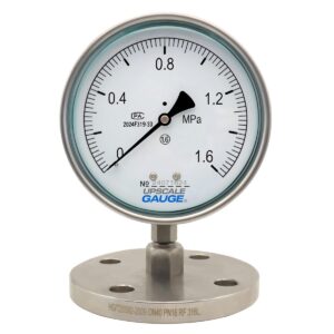 Flanged Diaphragm Pressure Gauge 150mm - YTP150MF