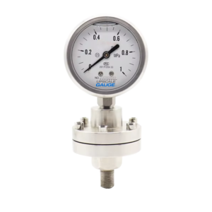 Threaded Diaphragm Pressure Gauge 60mm - YTP60ML